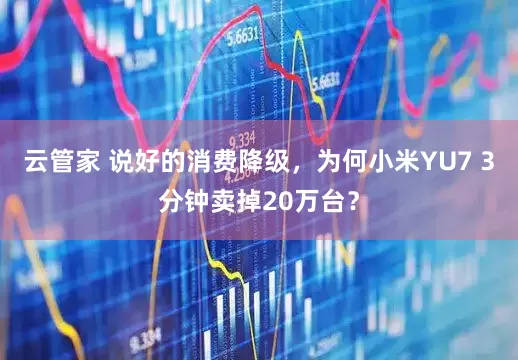 云管家 说好的消费降级，为何小米YU7 3分钟卖掉20万台？