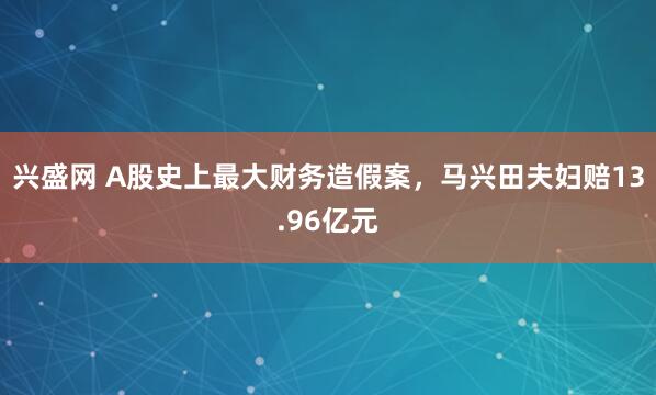 兴盛网 A股史上最大财务造假案，马兴田夫妇赔13.96亿元