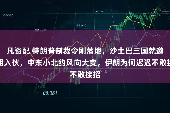 凡资配 特朗普制裁令刚落地，沙土巴三国就邀伊朗入伙，中东小北约风向大变，伊朗为何迟迟不敢接招